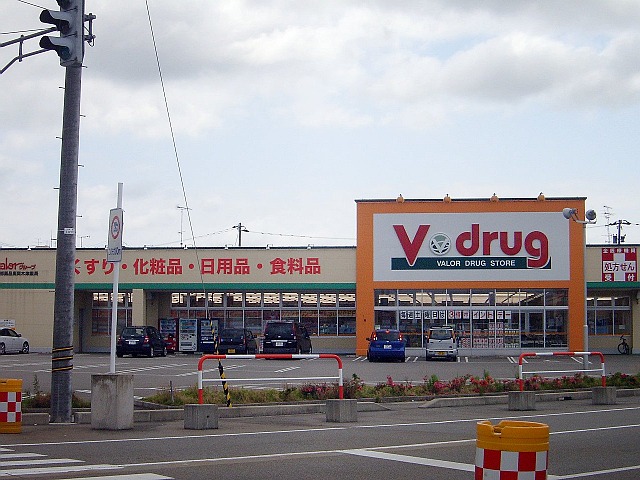 北雄貸家１ V･drug 高岡木津店 (調剤薬局)
